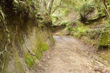 Vie Cave, bir etruscan mimarisi, Toskana, İtalya.
