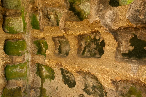 Parque Arqueológico Etrusco Citta Del Tufo Toscana Italia —  Fotos de Stock