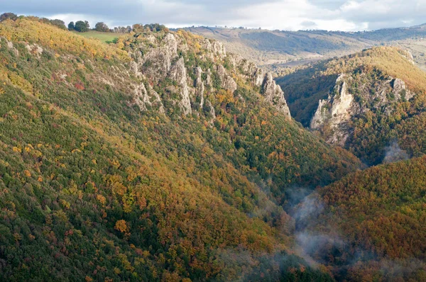 Doğal Rezerv Bosco Rocconi, Toskana, İtalya.