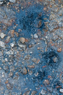 Toskana 'daki jeotermal park Sasso Pisano