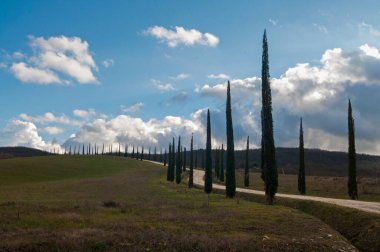 Toskana 'da selvi ağaçları olan boş bir yol