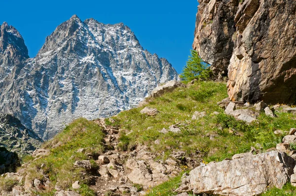 Massif Monviso Cozie Alps — Stockfoto