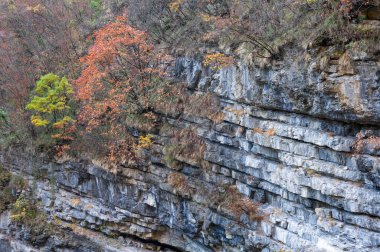 Dağlardaki doğanın güzel manzarası