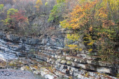 Sonbahar ormanındaki kayalık uçurumun manzaralı görüntüsü.
