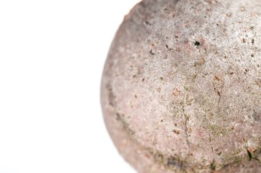 Meşe safrası, meşe elması beyaz arka planda izole edilmiş.