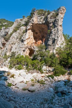 Sardunya manzarası (Golgo plato)