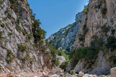 Sardunya manzarası (Golgo plato)