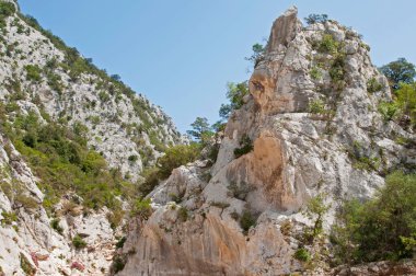 Sardunya manzarası (Golgo plato)