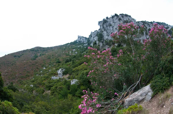 Krajobraz Pobliżu Cala Goloritze Sardynia Krajobraz — Zdjęcie stockowe