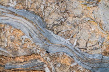 Bir kayanın yakın plan görüntüsü.