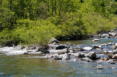 Dağlardaki dağ nehri 