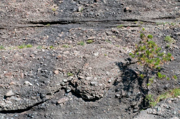 Natursköna Skott Vackra Stenig Klippa Solig Dag — Stockfoto