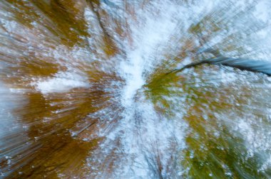 güzel bulanık orman arka plan görüntüsü 