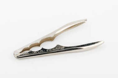 Beyaz arkaplanda izole edilmiş gümüş fındıkkıran.