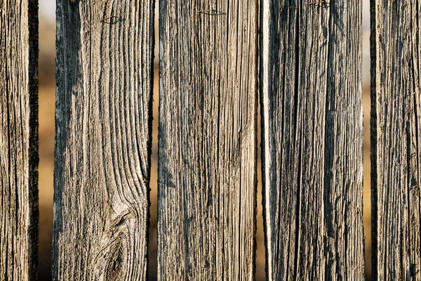 木材的质地 旧木制背景 — 图库照片