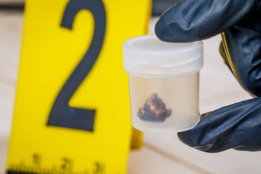 Suç mahallinde üzerinde kanıt işaretleri olan bir mermi kovanı ya da mermi.