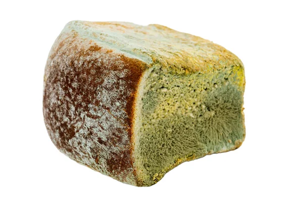 Beschimmeld Brood Een Witte Achtergrond Vervallen Gebak — Stockfoto