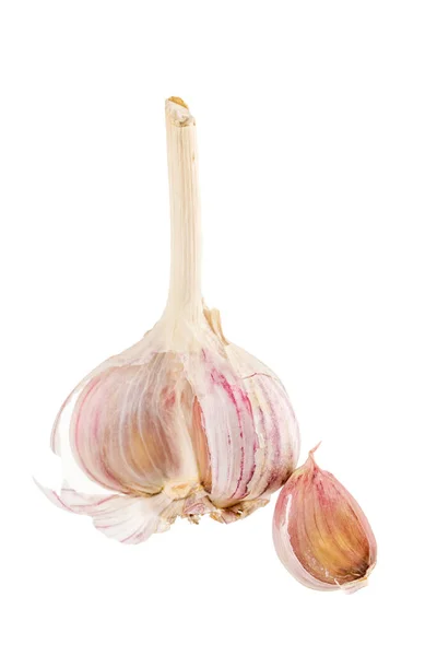 Raw Garlic Isolated White Background — Stock Photo, Image