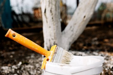 Bahar ağaçlarının beyazlatılması, böceklerden ve böceklerden korunma ilkbaharda ağaçların beyazlatılması. Bahçıvanlık ve tarım, koruyucu eylemler