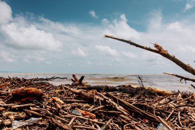 Fırtınadan sonra deniz kıyısında. Plajdaki plastik ve odun atıkları çevreyi kirletiyor. Bir çevre sorunu.