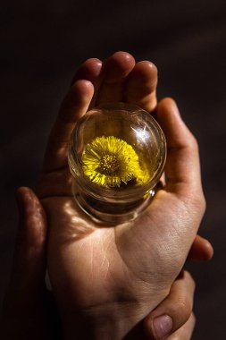 Avucunun içinde harika bir dünya. Cam altında bir doğa parçası. Bir çocuğun camla oynadığı oyun. Yakın plan..