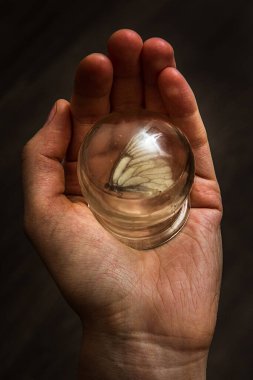 Avucunun içinde harika bir dünya. Cam altında bir doğa parçası. Bir çocuğun camla oynadığı oyun. Yakın plan..