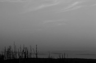 Sisli bir sabah. Yaz köyü yaşam konsepti. Doğa.