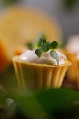 Hafif kremalı kanepeler. Mikro yeşilliklerle hayat. Aperatif atıştırmalık konsepti. Yakın plan.