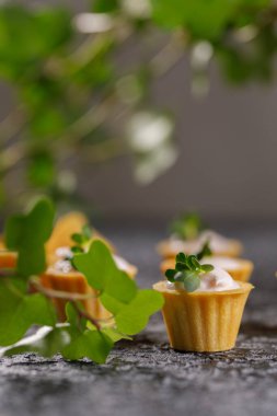 Hafif kremalı kanepeler. Mikro yeşilliklerle hayat. Aperatif atıştırmalık konsepti. Yakın plan.