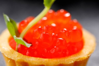 Kırmızı havyarlı ve mikroyeşil desenli iştah açıcı tart. Tatil kavramı.