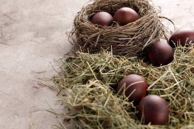 Dokusal arka planda pek çok renkli paskalya yumurtası var. Taşralı. Doğal bitkilerden dekorasyon.