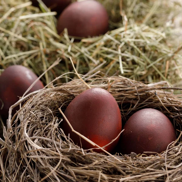 Natura Morta Molte Uova Pasqua Colorate Uno Sfondo Materico Rustico — Foto Stock