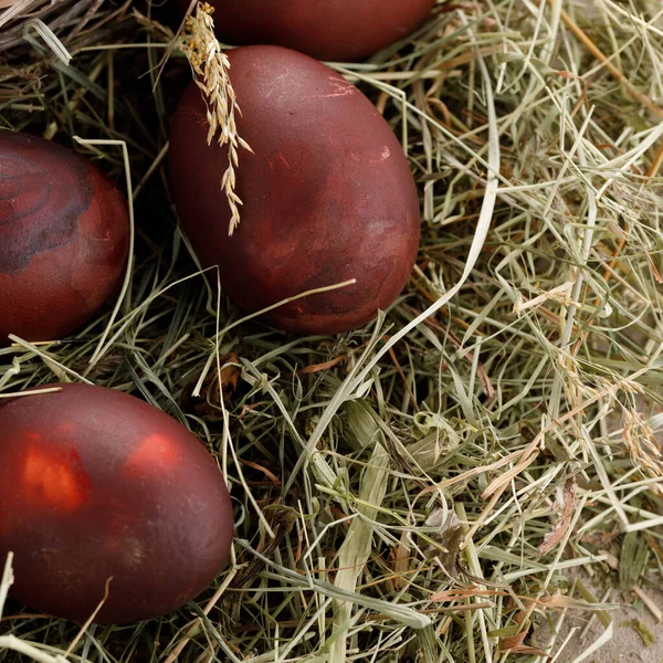 Bodegón Muchos Huevos Coloridos Pascua Sobre Fondo Textural Rústico Decoración — Foto de Stock