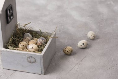 Ahşap bir evde süslenmiş bıldırcın yumurtalarıyla dolu bir hayat. Kırsal.