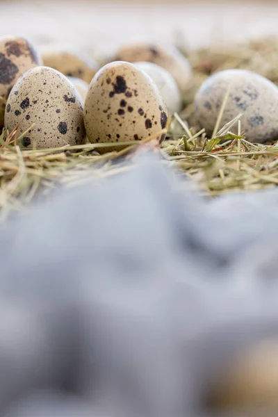 Martwa Natura Jaja Przepiórcze Ozdobione Suchymi Ziołami Kolorowym Biegaczem Teksturowanym — Zdjęcie stockowe