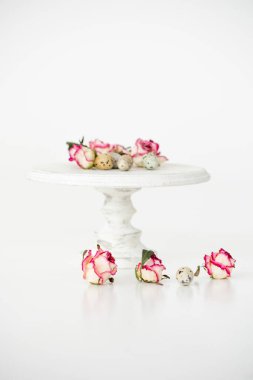 Güllerle dolu bir hayat. Bıldırcın yumurtaları ahşap tezgahta. Kırsal.