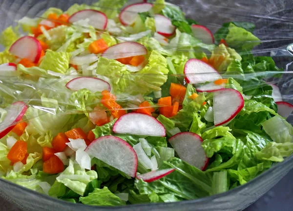 Salade de jardin fraîche — Photo