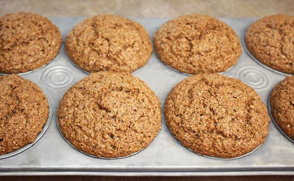 Bran Muffins — Stock Photo, Image