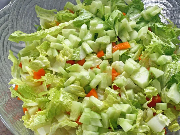 Fresh Garden Salad — Stock Photo, Image