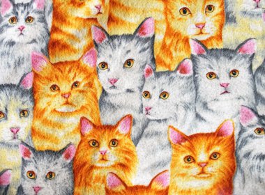 Printed pattern of cute kittens on fabric