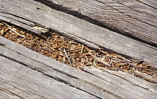 Rotted wood on boardwalk path — Stok fotoğraf