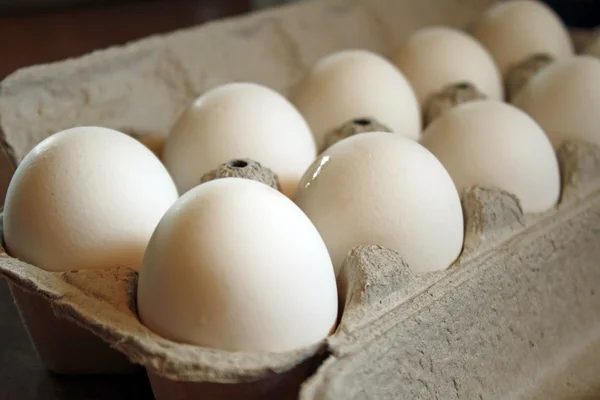 Caixa de ovos brancos orgânicos saudáveis e nutritivos — Fotografia de Stock