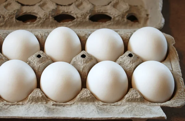 Astuccio di uova bianche biologiche sane e nutrienti — Foto Stock