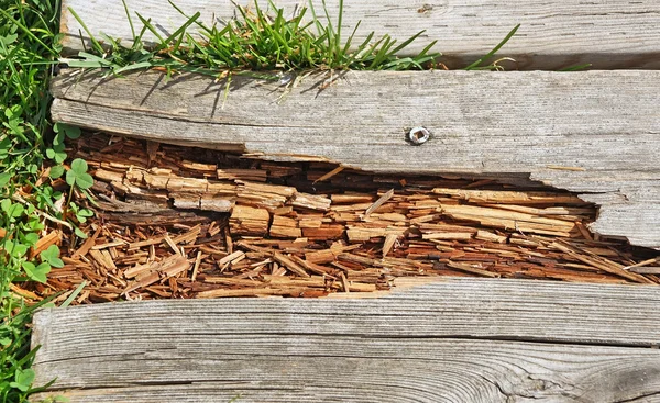 Onarıma ihtiyacı boardwalk yolda çürüyen ahşap — Stok fotoğraf