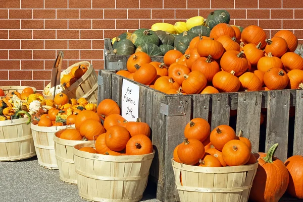 Dýně a tykve na prodej na venkovní Farmářský trh — Stock fotografie