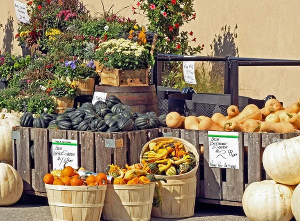 カボチャ、ヒョウタンと秋の花の屋外の農夫の市場での販売のため — ストック写真