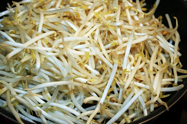 Fresh organic Bean Sprouts in skillet ready for cooking — Stock Photo, Image