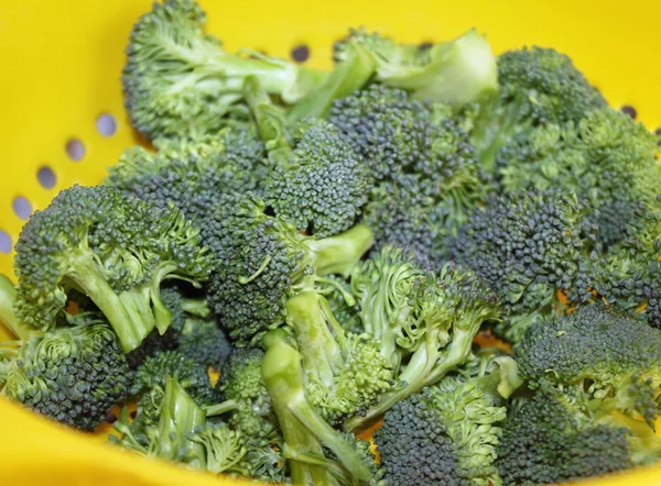 Fresh Organic broccoli florets in colander after rinsing — Stock Photo, Image