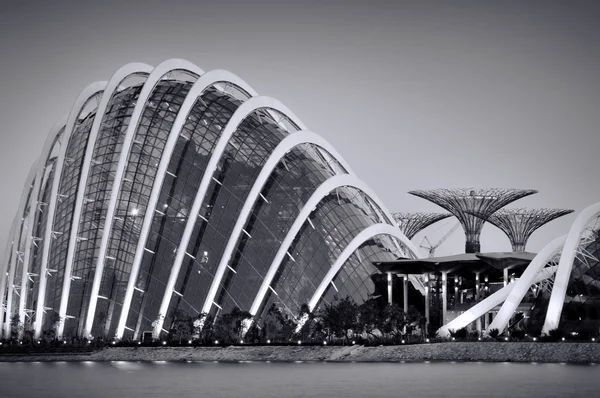 Une vue de nuit sur le Supertree Grove, la forêt nuageuse et le dôme de fleurs au Gardens by the Bay — Photo