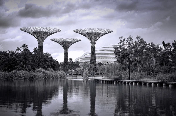 El Supertree Grove, el bosque nuboso y la cúpula de flores en Gardens by the Bay — Foto de Stock